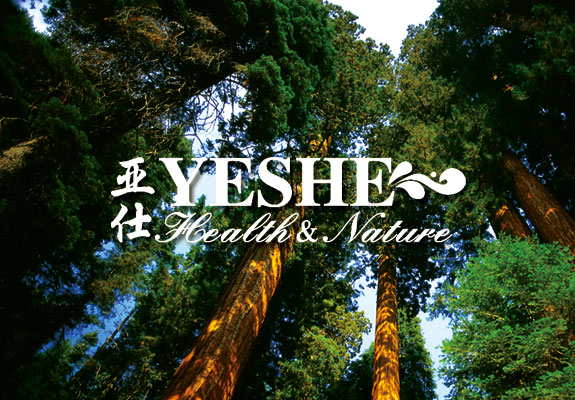 ysmy01 亞仕木門標(biāo)志設(shè)計(jì)